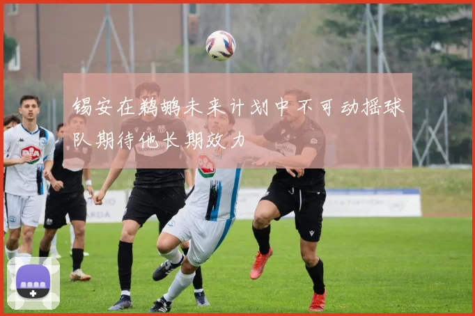 锡安在鹈鹕未来计划中不可动摇球队期待他长期效力
