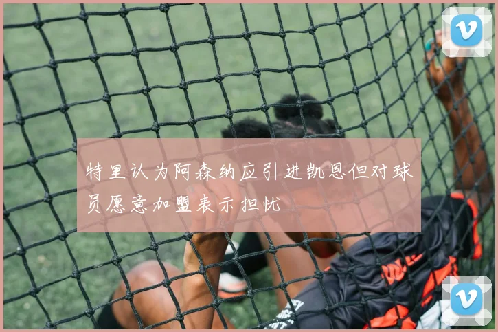特里认为阿森纳应引进凯恩但对球员愿意加盟表示担忧